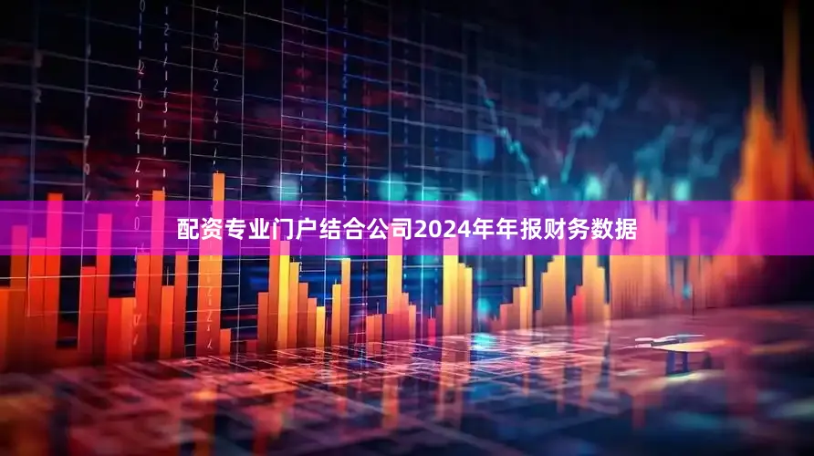 配资专业门户结合公司2024年年报财务数据