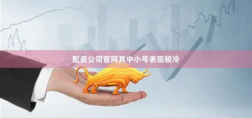 配资公司官网其中小号表现较冷