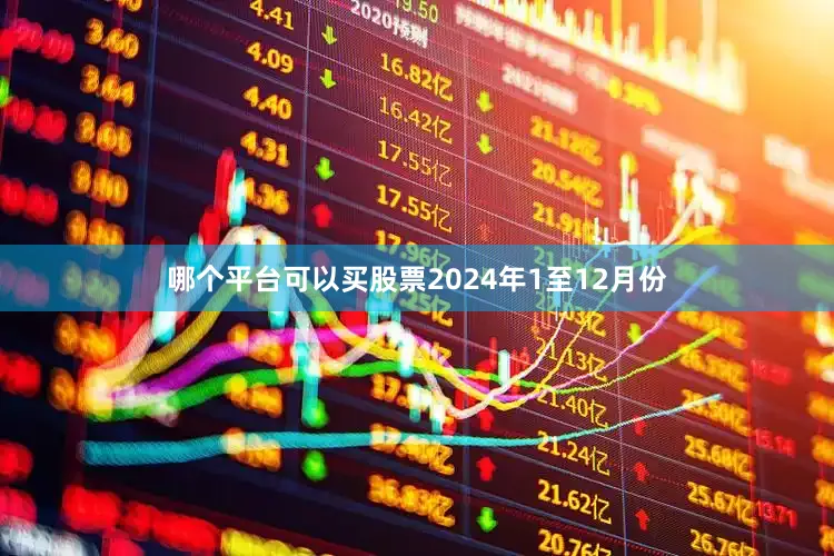 哪个平台可以买股票　　2024年1至12月份