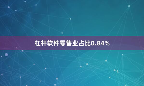 杠杆软件零售业占比0.84%