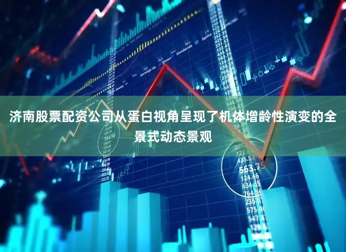 济南股票配资公司从蛋白视角呈现了机体增龄性演变的全景式动态景观