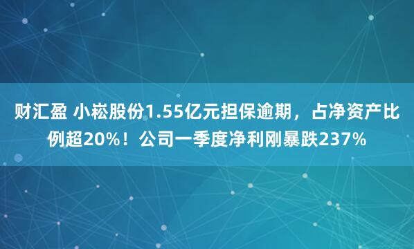 财汇盈 小崧股份1.55亿元担保逾期，占净资产比例超20%！公司一季度净利刚暴跌237%